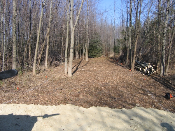 Oberndorfer can clear trees to open up your yard Tree clearing Services Ozaukee County